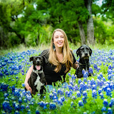 Essential Oil Vet Coupons and Promo Code