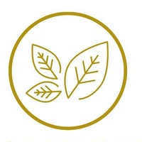 Tongkatbutiken Coupons and Promo Code