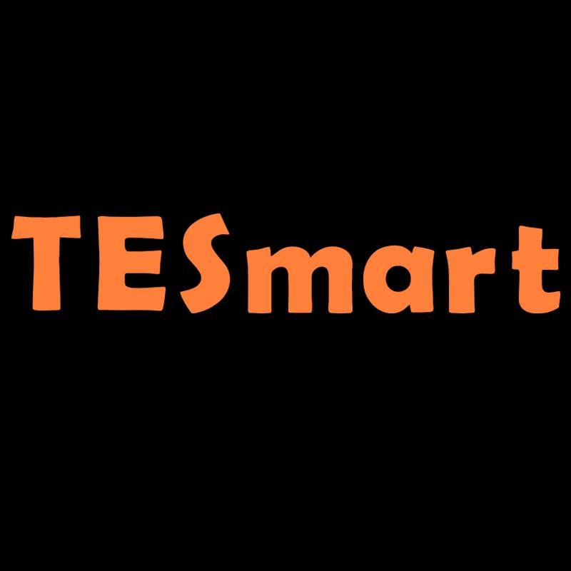 TESmart.DE Coupons and Promo Code